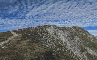 An Attitude of Gratitude