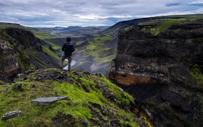 The Gentle Whisper of Wisdom