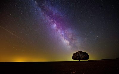 The Wonder and Potential of You