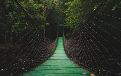 Rope Bridges and the Father’s Hand