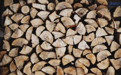 Logs and the Specks – Priorities