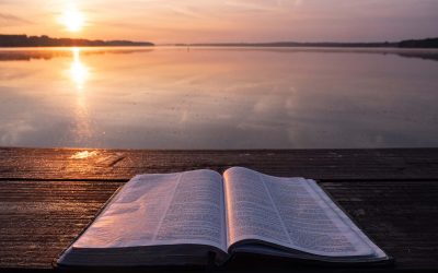 God’s Word – For These Times