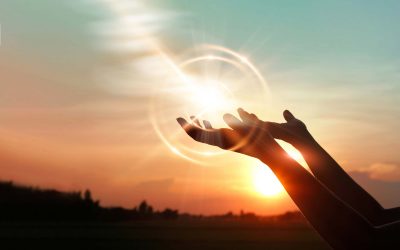 Turn to the Light, to Life