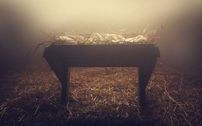 Called to the Manger, Again