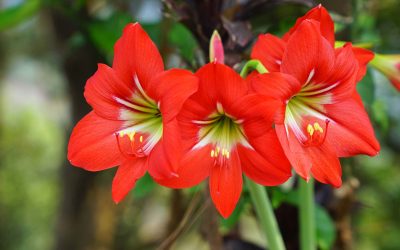 A New Thing—Thank God!