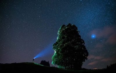 Hope Reigns – Forever!