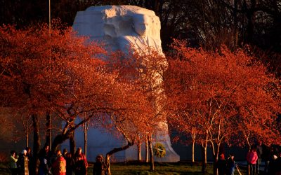 Life – The Right Choices