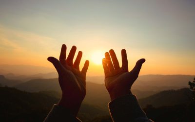 Worthy of Every Praise