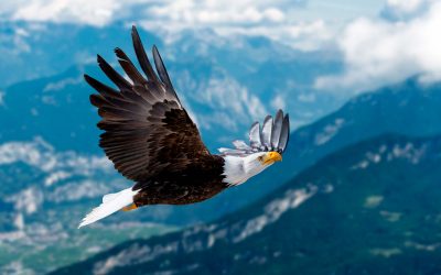 Amazing Grace. Unfailing Love.