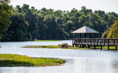 La Chua Trail Invite