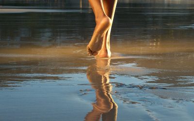 Only One Voice of Truth – Jesus