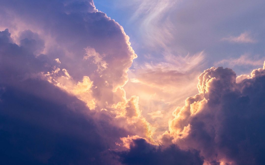 Behold He Comes – Stand with Him