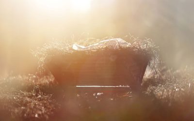 The Holy Light of Bethlehem Morning