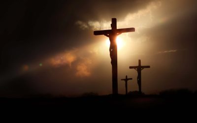 Believe. Paradise Forever.