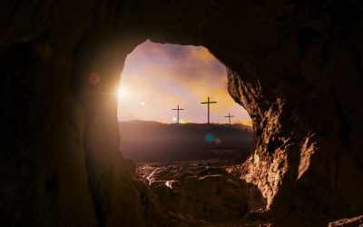 Part of the Plan – Believe