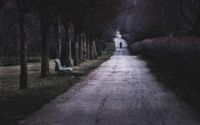 Never Alone