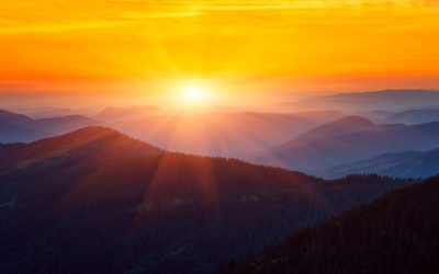 Our Living Hope – Always